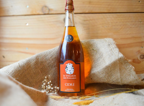 Dégustonfoin - Cidre Demi-Sec BIO - 75cl