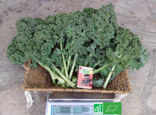 LES JARDINS DE KARINE - Chou Kale - Grandes feuilles - 1kg