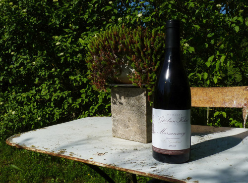 Domaine Ghislain Kohut - Lot 6 Bouteilles de Marsannay lieu-dit "les Genelières" AOC