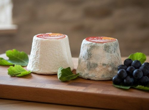 Fromagerie CHEVENET - Mâconnais AOP x2 deux affinages