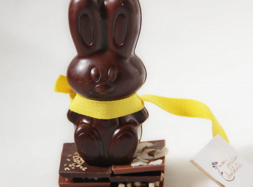 Mon jardin chocolaté - Lapin De Pâques Chocolat Noir