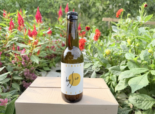 Nature et Saveurs - Ferme Aquaponique et Permacole Astérienne - Kombucha Ginger Beer Bio Bysco - 33cl