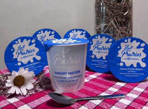 Lait Prairies du Boulonnais - Yaourt nature ferme - 125g x 6