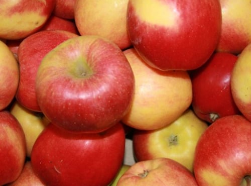 Le Châtaignier - Pomme Braeburn - 1kg