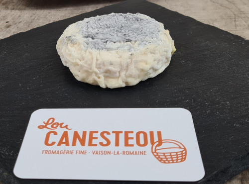 Lou Canesteou - Malau cendré