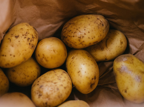 La ferme de Javy - Pomme de terre Bintje bio 1kg