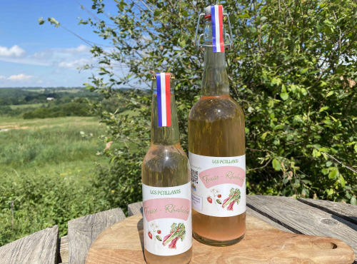 Ferme Sinsac - Pétillant de Fraise et Rhubarbe sans alcool 33 cl colis de 12 bouteilles
