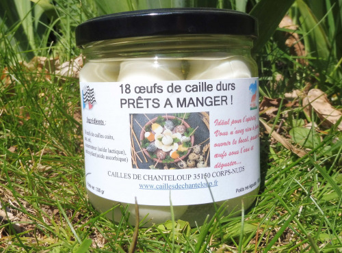 Cailles de Chanteloup - LOT 18 oeufs de cailles écalés et cuits + 1 terrine de caille 90 gr