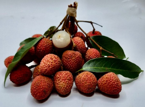 La Boite à Herbes - LITCHI BRANCHE BIO MADAGASCAR 400 G