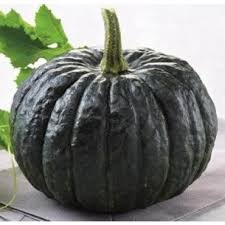 Le Pré de la Rivière - Courge Shiatsu 25kg