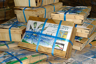 Les Huîtres Courdavault Alain & Fils - Huîtres Fines Calibre 0 - 15kg
