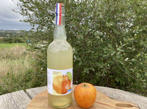 Ferme Sinsac - Pétillant de pommes