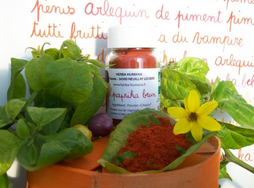 HERBA HUMANA - Paprika Brun Bio Cultivé en France 35 g