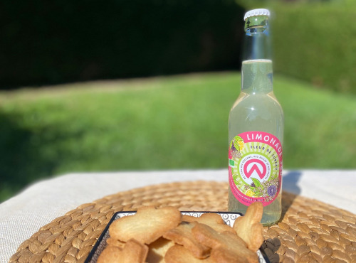 L’Echo Paysan - Limonade au Sureau Bio 33cl