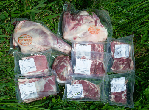 La Ferme des Obiones - Demi-Agneau de Pré-Salé Élevé en Plein-Air 6 kg