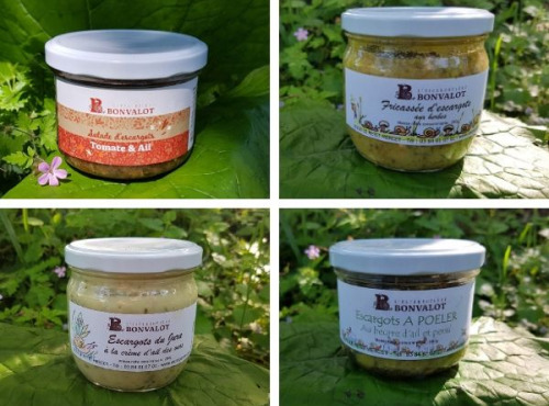 L'escargotière BONVALOT - Lot Escargots : Cuisiner Autrement Les Escargots