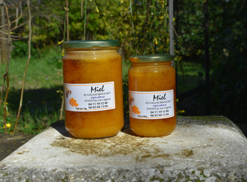 La Truite du Mézenc - Miel de Pissenlit - 1kg