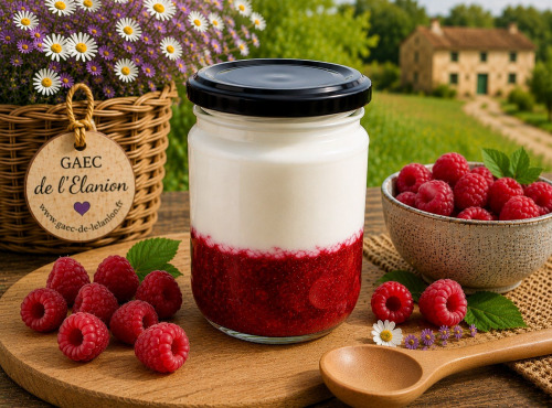 Gaec de l'Elanion - Fromage Blanc Confiture Framboise  130g