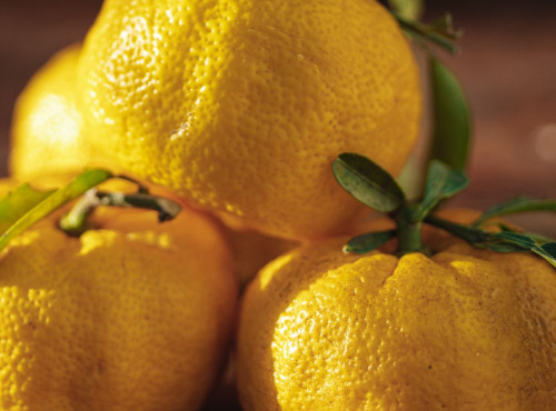 Maison Gannac - Yuzu 1kg