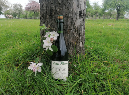 Domaine Fourmond Lemorton - Cidre Fermier Demi-Sec BIO