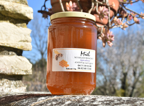La Truite du Mézenc - Miel de Tilleul - 1kg