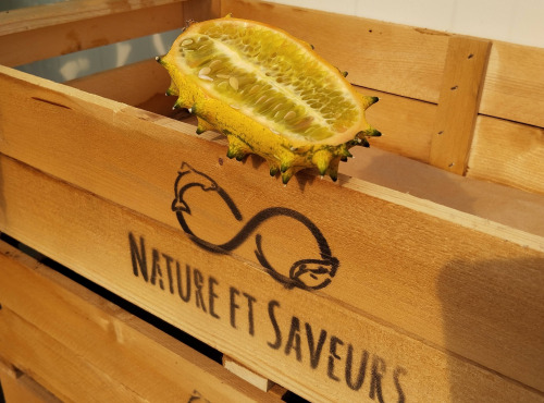 Nature et Saveurs - Ferme Aquaponique et Permacole Astérienne - Kiwano (Pièce)