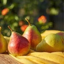 Domaine Reverchon - Poires William du Vaucluse 1Kg