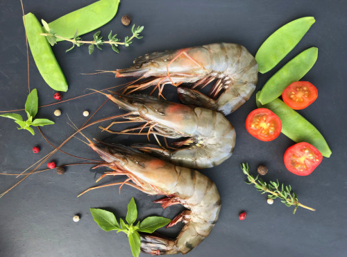 Etablissements JC David - Gambas de Madagascar BIO fumées 200g