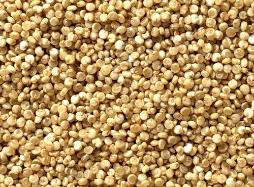 BERRY GRAINES - Quinoa blanc BIO origine France - sac 5kg x1