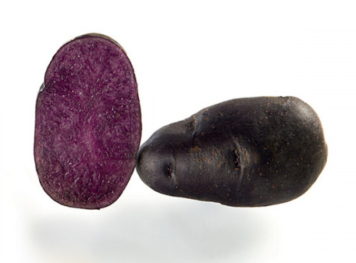 Ferme de Carcouet - Pommes de Terre Nouvelles violettes Bio - 1 kg