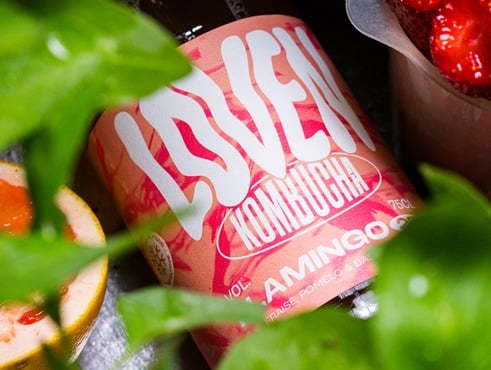 LOVEN Crew - Brasserie L'Indispensable - Kombucha Flamingo 25 (Fraise, Pomelo & Basilic) - 10x33cl