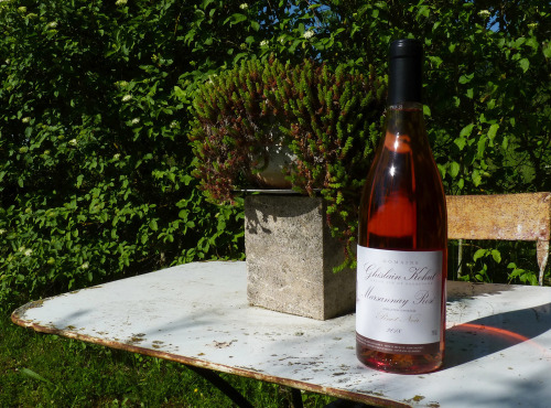 Domaine Ghislain Kohut - Lot 3 Bouteilles de Marsannay Rosé AOC