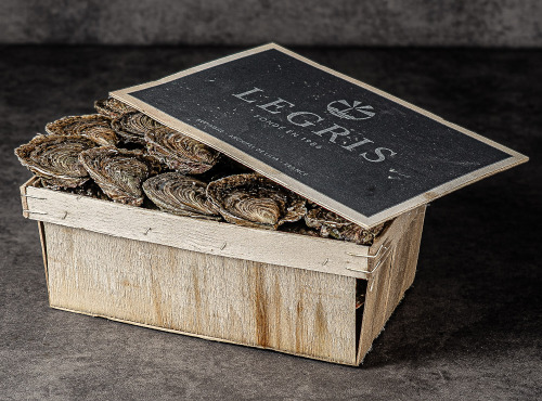 Maison Legris - Huîtres plates TRALEE TG x48