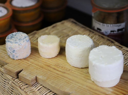 Ferme de la Limaye - Fromage de chèvre sec