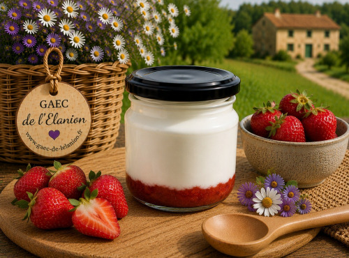 Gaec de l'Elanion - Fromage Blanc Confiture Fraise 130g
