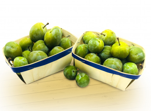 Maison du Pruneau - Cueillette du Gascon - Prunes Reine-claude - 1kg (2x 500g)