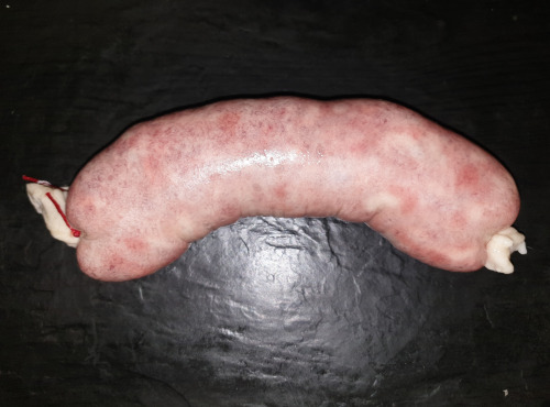 La Ferme du Montet - [SURGELÉ] Saucisson à GRILLER - Nature - Porc Noir Gascon
