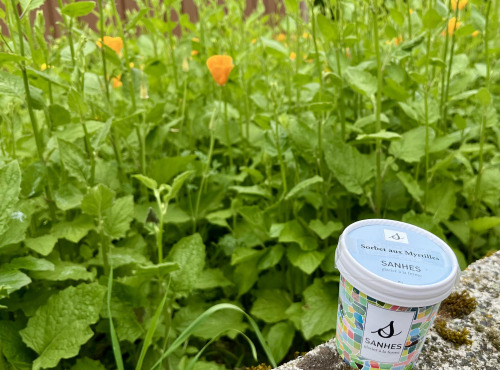 Myrtilles du Trimoulet - Sorbet Myrtilles - Pot 100 mL