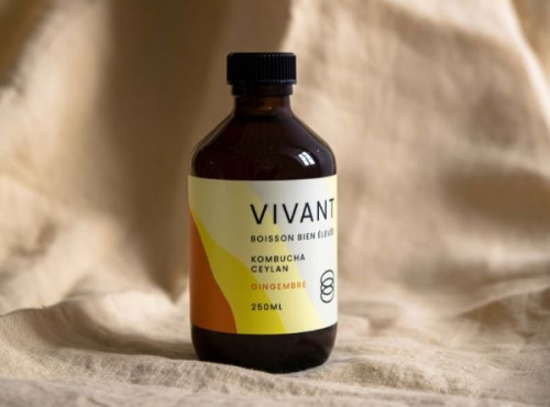 Vivant Kombucha - Kombucha Thé Ceylan Gingembre Bio x6