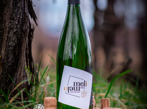 Domaine François WECK et fils - Méli Mélo 2023 1L x 3