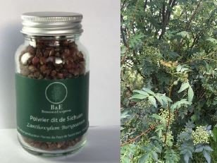 Gourmets de l'Ouest - Poivre dit de Sichuan - cultivé à Saint-Malo