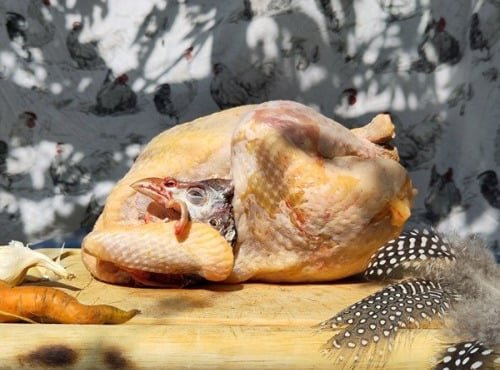 Ferme Avicole des Grands Champs - Pintadon entier 1kg9