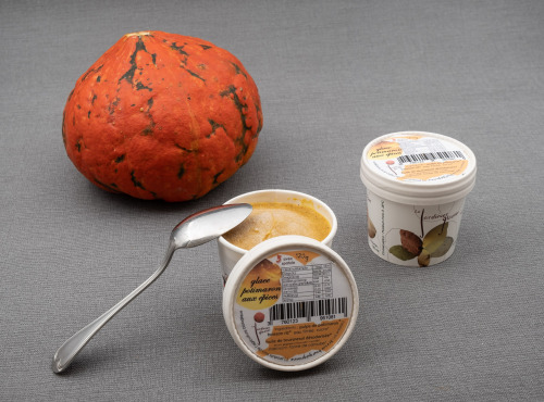 Le Jardinier Glacier - SPECIAL HALLOWEEN Pot 140ml POTIMARRON AUX EPICES