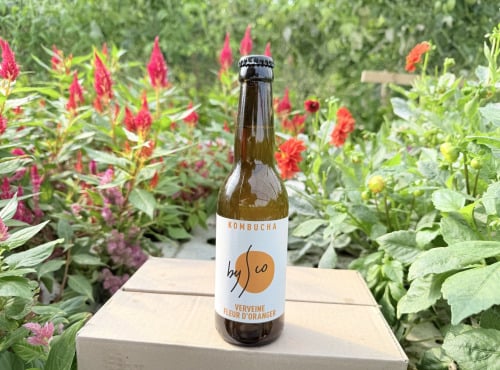 Nature et Saveurs - Ferme Aquaponique et Permacole Astérienne - Kombucha Verveine Fleur d'Oranger Bio Bysco - 75cl