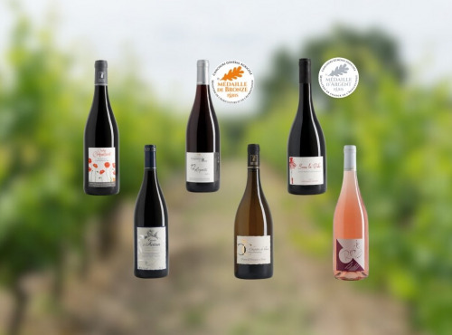 Domaine de la Chopinière du Roy - Coffret cadeau découverte des vins de Loire "Les 6 vins de Loire du Domaine" - 6 x 75 cl