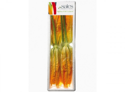 Maison Sales - Végétaux d'Art Culinaire - -9- Courgette Fleur Mâle - 5 Pièces