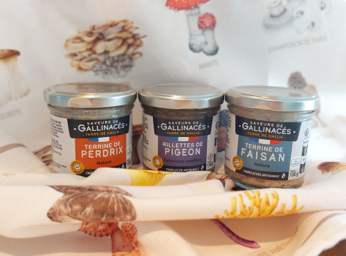 Terre de Gallie - LOT DE 3 RECETTES RILLETTES PIGEON-TERRINE FAISAN ET PERDRIX
