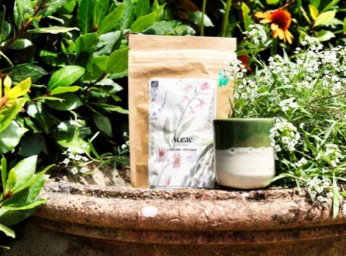 Chicorée Aceae - Chicorée Aceae Bio - Infusion 75 g