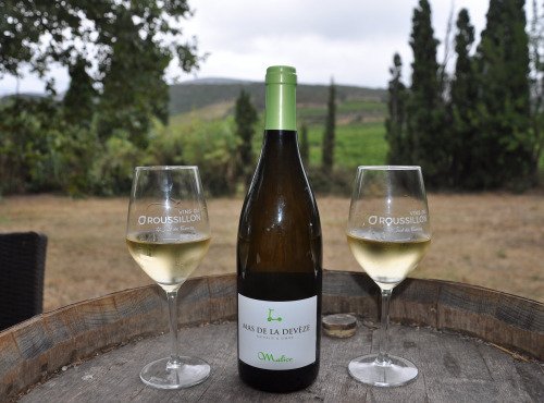 Mas De La Devèze - Côte du Roussillon AOP - Malice Blanc 2025