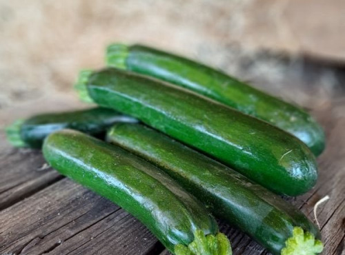 Les Jardins de Gérard - Courgette longue verte Bio - 1 kg x 5